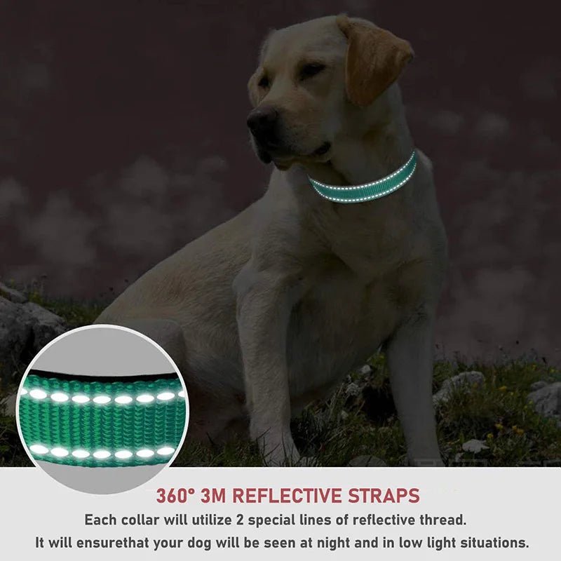 Reflective Dog Collar Strap with Adjustable Safety Nylon Pet Collar Pet Traction Rope Suitable for Small and Medium-Sized Pets