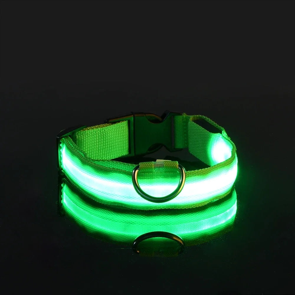 collier fluorescent