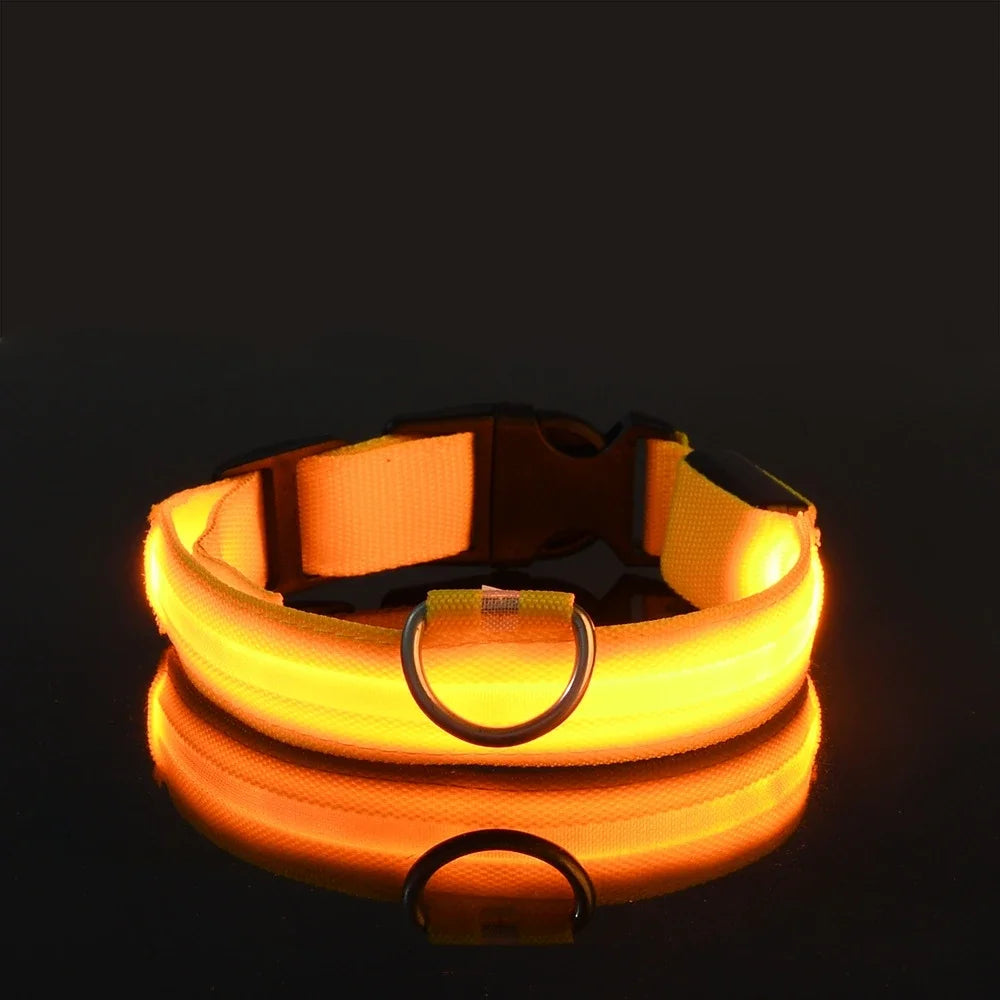 collier fluorescent